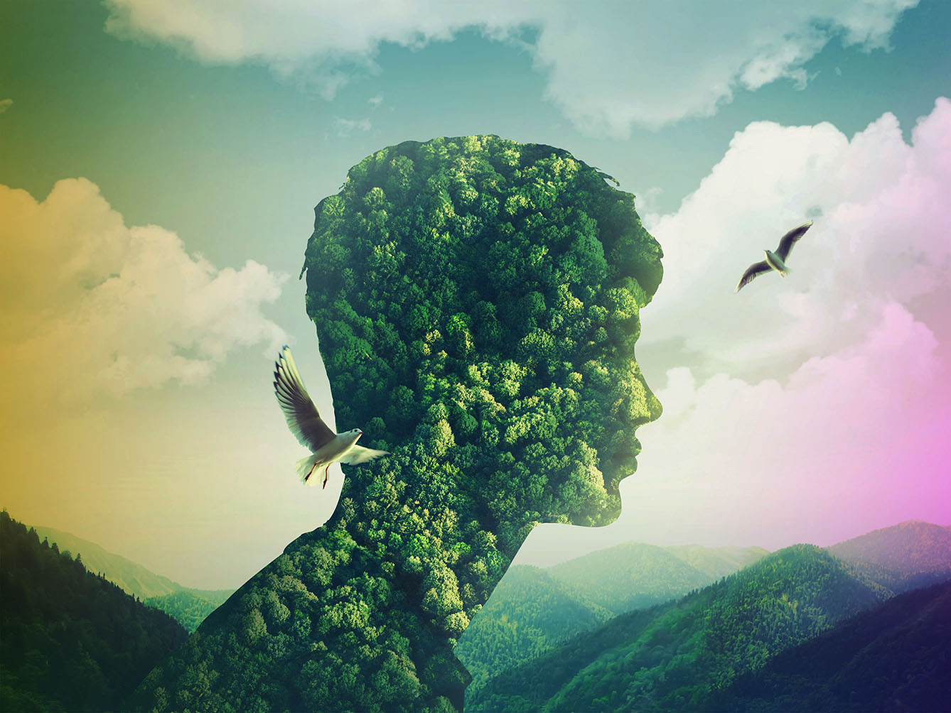 creative double exposure man nature sky green forest