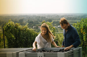 woman and man looking at the grapes in wine yard in Poland Europe