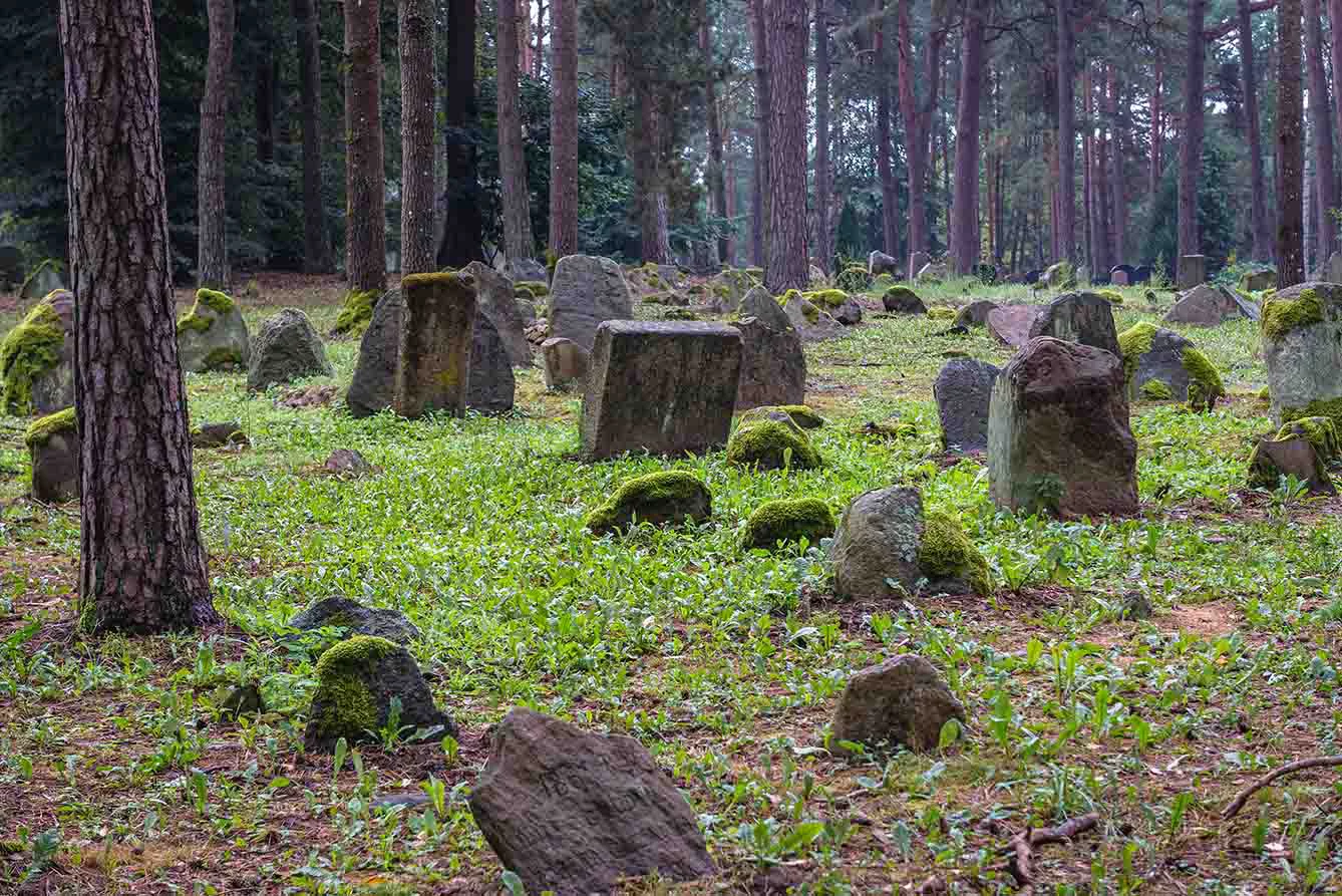 Cemetery in Kruszyniany