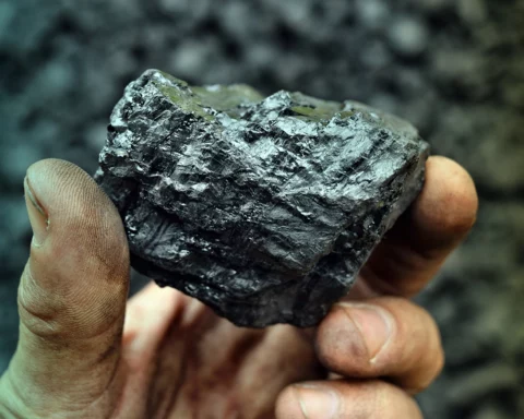 Coal in the hand of worker miner