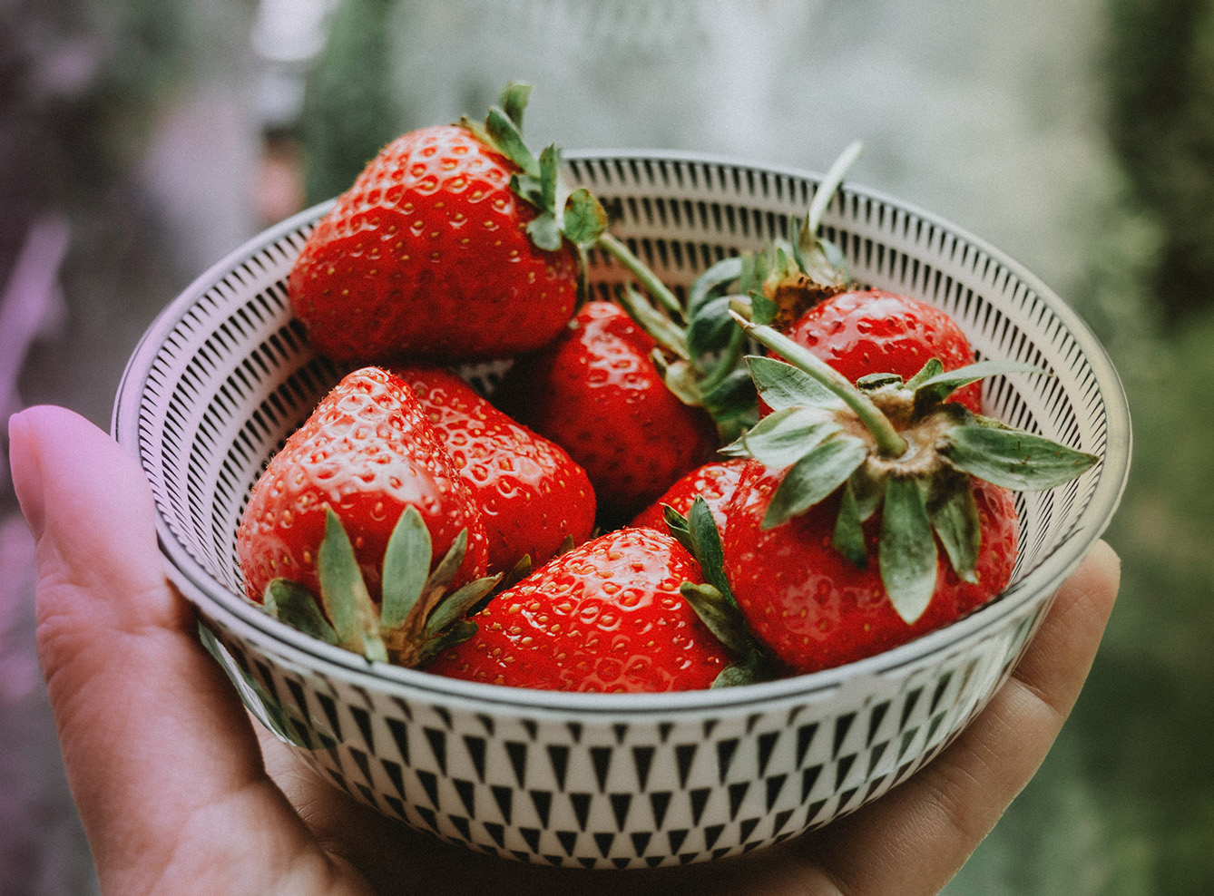kashubian strawberries in bowl