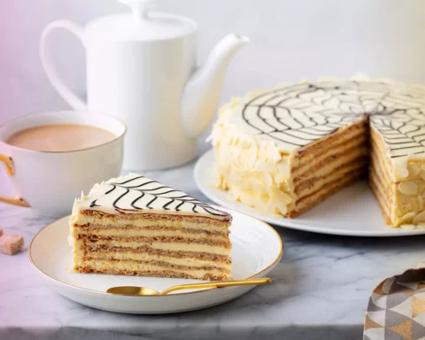 Traditional Hungarian Esterhazy cake, torte with cup of coffee. Marble background. Close up