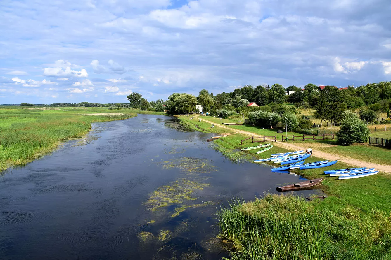 kayaks in Biebrza