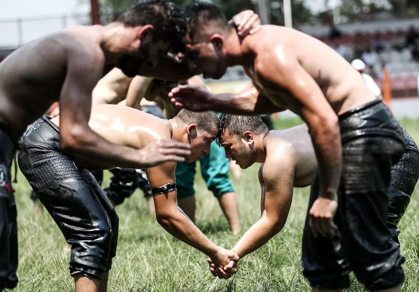 Wrestlers compete against each other