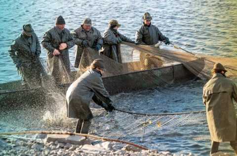 Fishermen on boats and ashore catch fish using fishing net