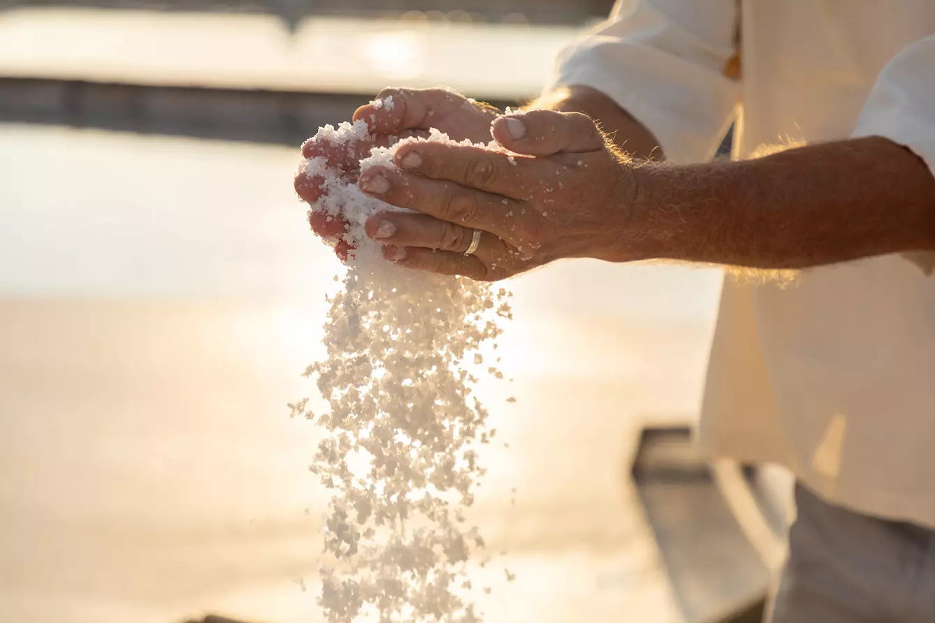 white gold salt: Saltpans in Piran in summer