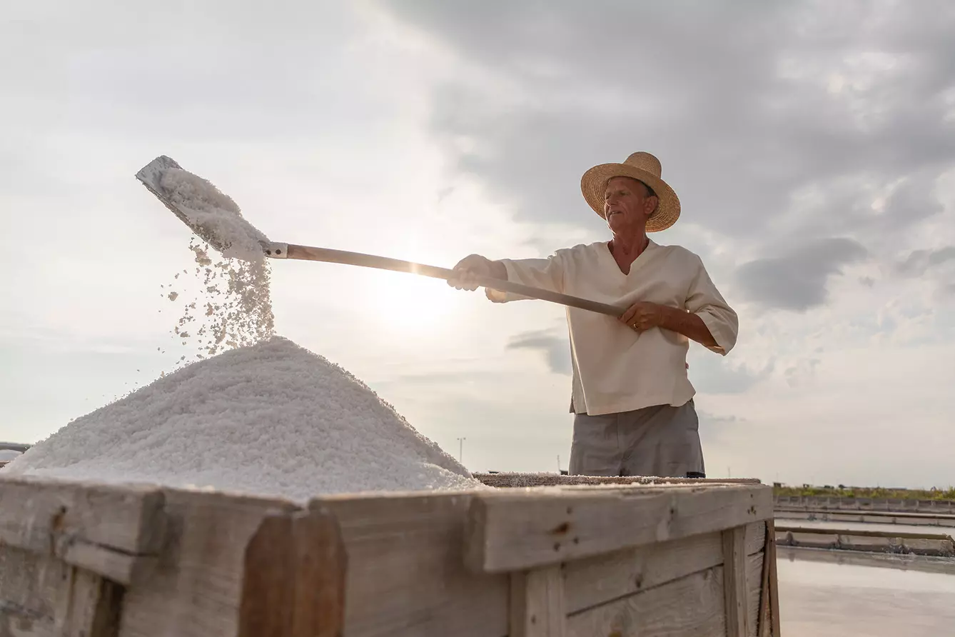 piran salt: Saltpans in Piran in summer