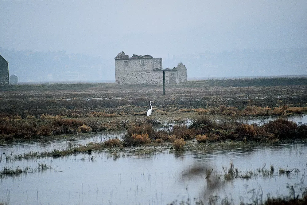 Sečovlje Salina Nature Park