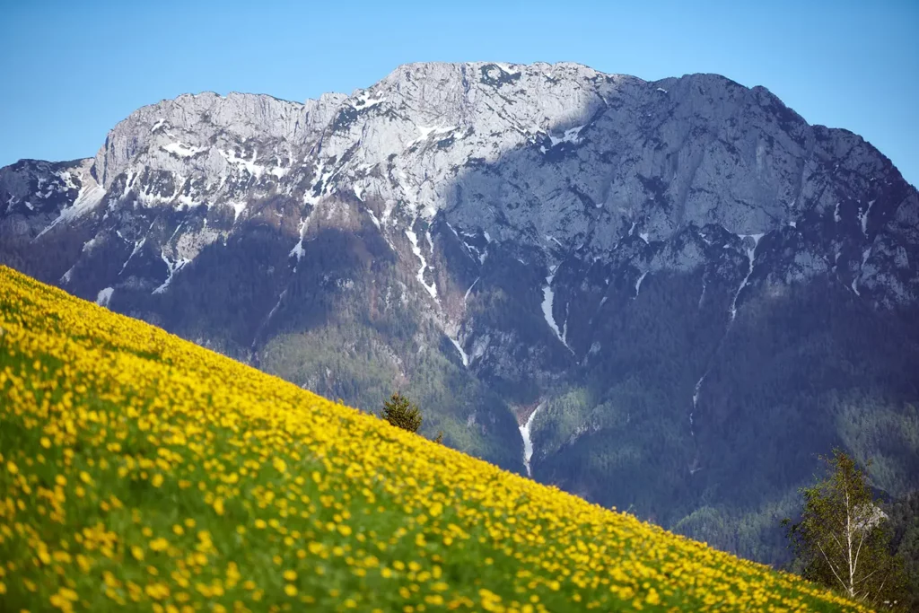 Logarska dolina panoramic route in spring