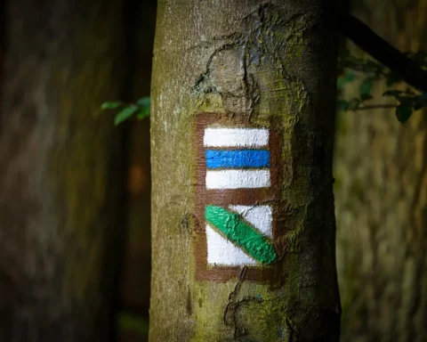 detail od traditional colorful Czech tourist marking on hiking trails