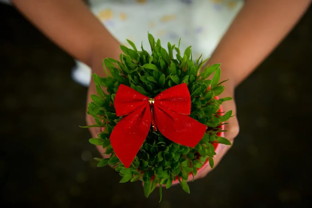 Girl holding green Christmas wheat in a pot with a red tie