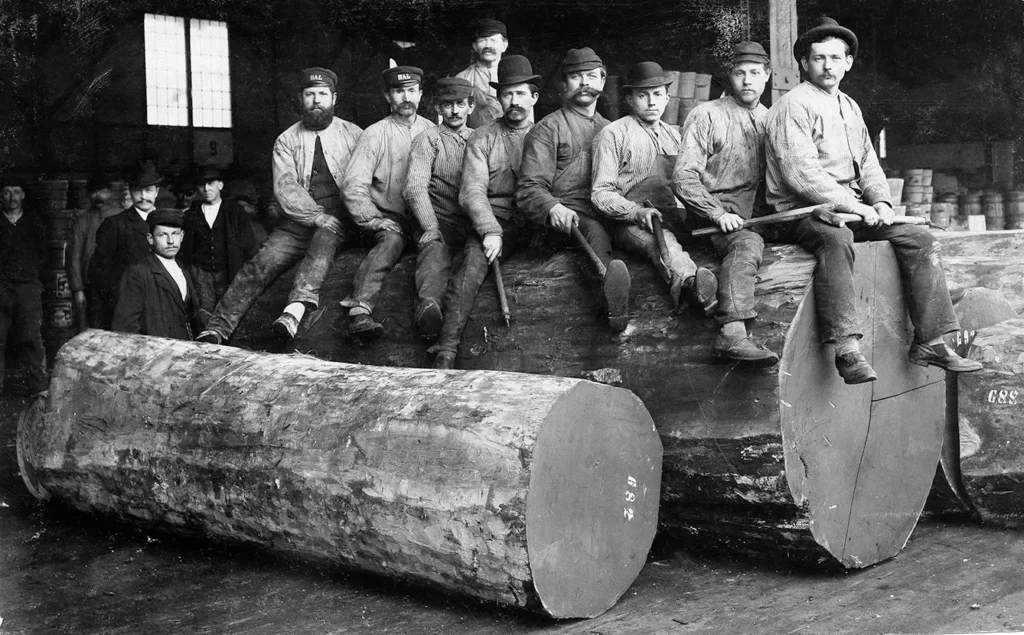 Oregon lumberjacks wearing Levi Strauss jeans sit on a giant log, archive photo from1880