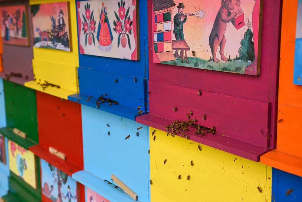 Close up of bees entering hives of colorful hand painted apiary boxes of traditional scenes at Kralov Med in Selo near Bled Slovenia