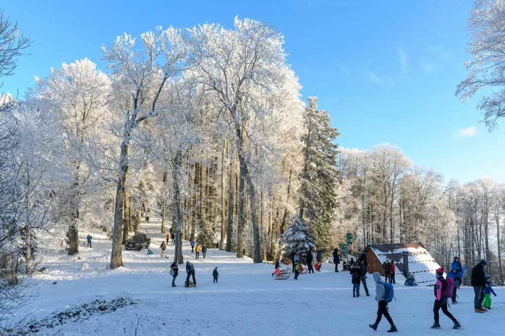 Winter scene with people enjoying in winter activities on sledding hill at Sljeme near Zagreb, Croatia. Families and children having fun on snow