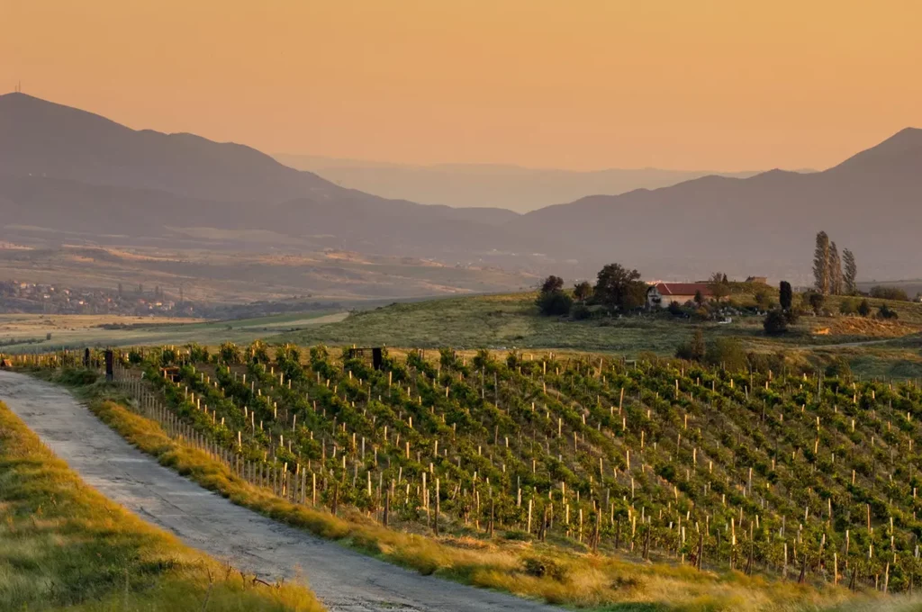 Vineyards near Melnik in Pirin Mountains