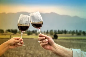 Couple toasting with wine in front of the vineyards during a wine tourism