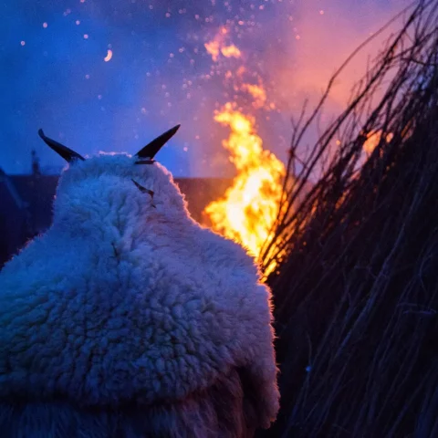 Buso carnival, traditional hungarian winter closing festival