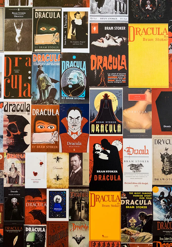 Bram Stoker's Dracula novels shown in Bran Castle