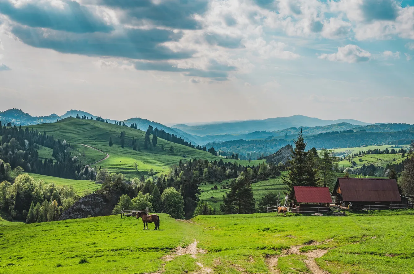 View on the way to Radziejowa through the Biała Woda nature reserve. Photo taken in the spring