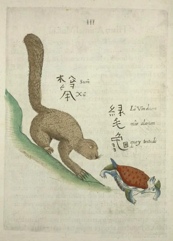 Squirrel chasing a green-haired turtle, illustration from from Flora Sinensis by Michael Boym