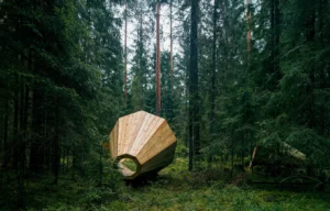 Forest Megaphone in Estonia