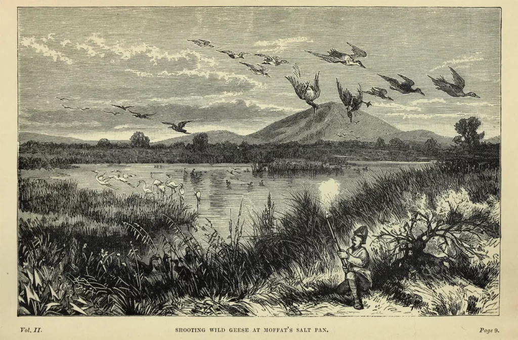 "Shooting wild geese at Moffat's salt pan" from Seven Years in South Africa (1881) by Emil Holub, translated by Ellen Elizabeth Frewer, illustrated by Karel Liebscher, Adolf Liebscher and Johann Varrone.