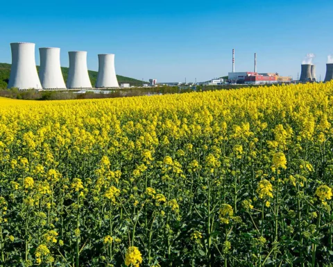 Nuclear power plant in Mochovce.