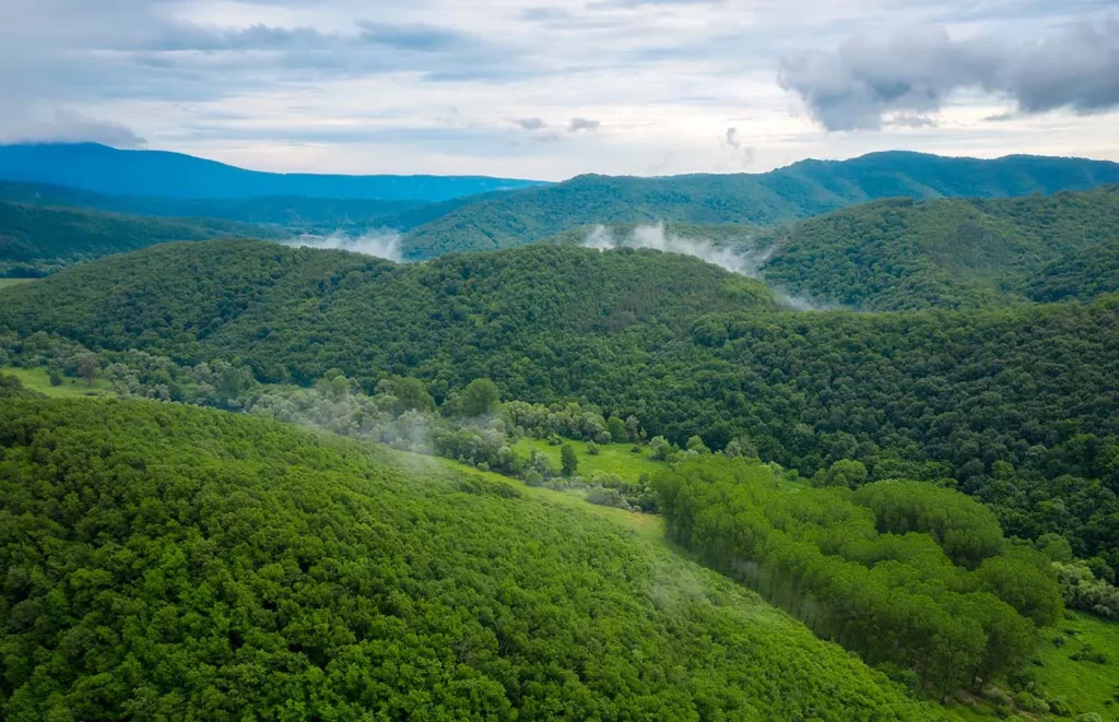 Aerial drone view with green forests and hills overgrown with lush vegetation in the spring time, Strandzha Mountain, Bulgaria.